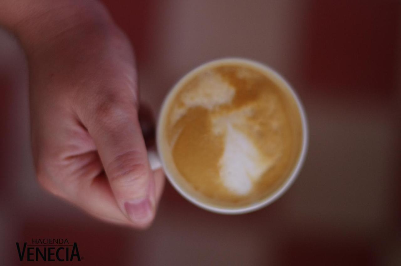 Hacienda Venecia Coffee Farm Hotel San Peregrino المظهر الخارجي الصورة