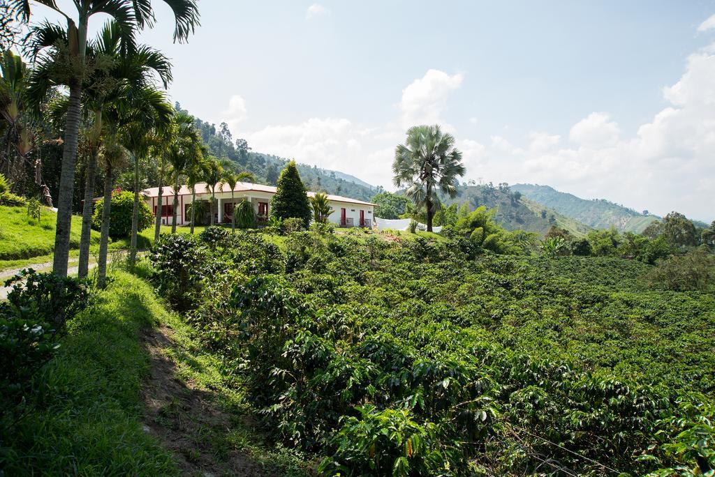 Hacienda Venecia Coffee Farm Hotel San Peregrino الغرفة الصورة